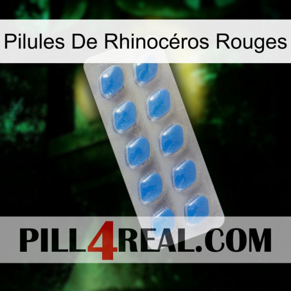 Pilules De Rhinocéros Rouges 22